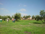 Immagine111